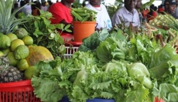 Feira de Produção Agrícola